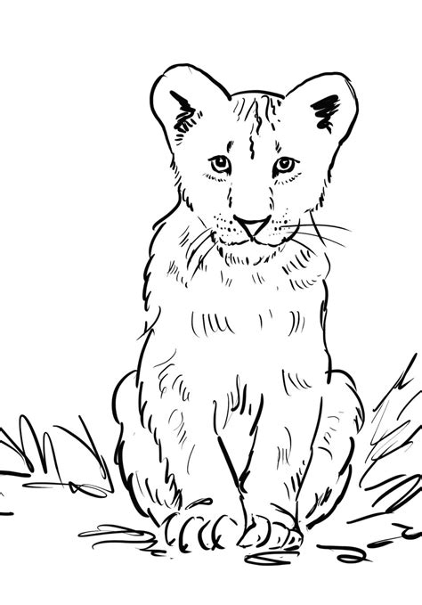 Lion Cub Playing Coloring Page