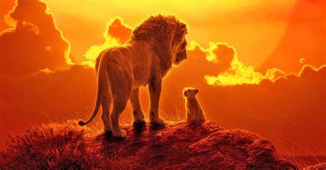 Majestic Lion King