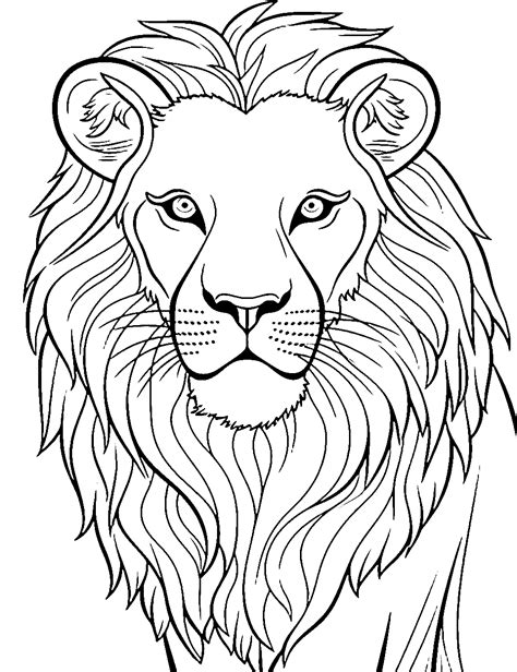 Lion Mane Coloring Page