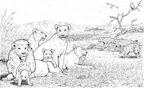 Lion Pride Coloring Page