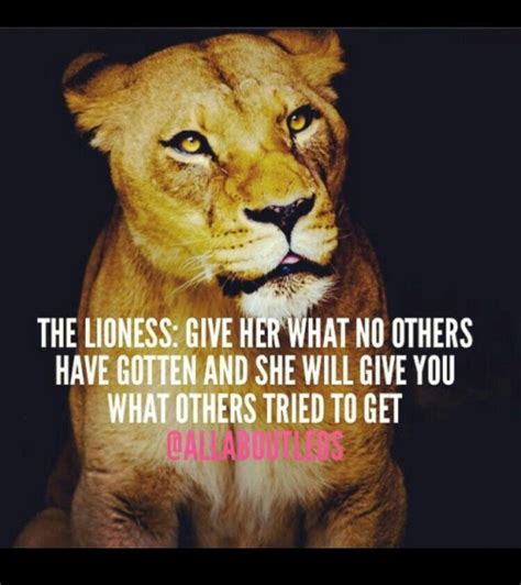 Lioness wisdom and guidance