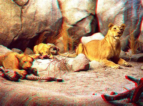 Lions' Den Diorama