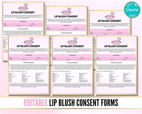 Lip Liner Consent Form Example