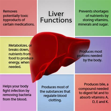 Monitoring Liver Function