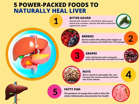 Liver Health Introduction