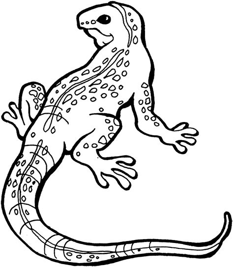 Lizard Coloring Page 1