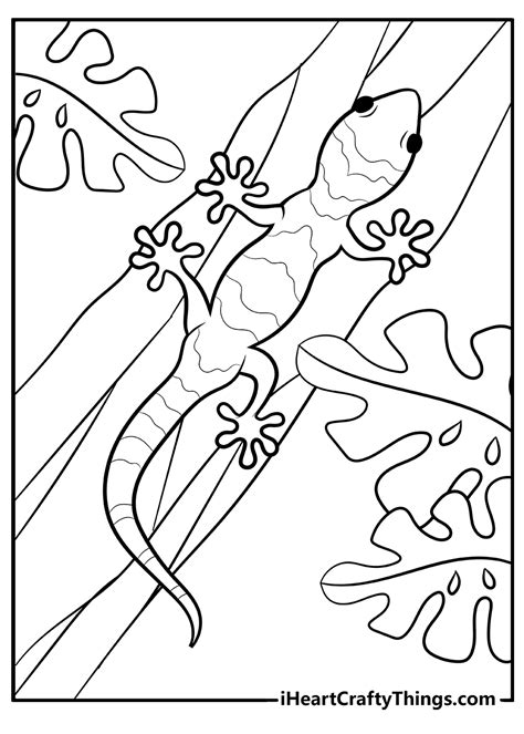 Lizard Coloring Page 10