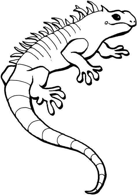 Lizard Coloring Page 3