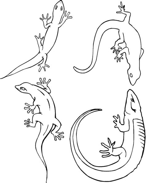 Lizard Coloring Page 4