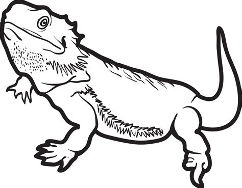 Lizard Coloring Page 5