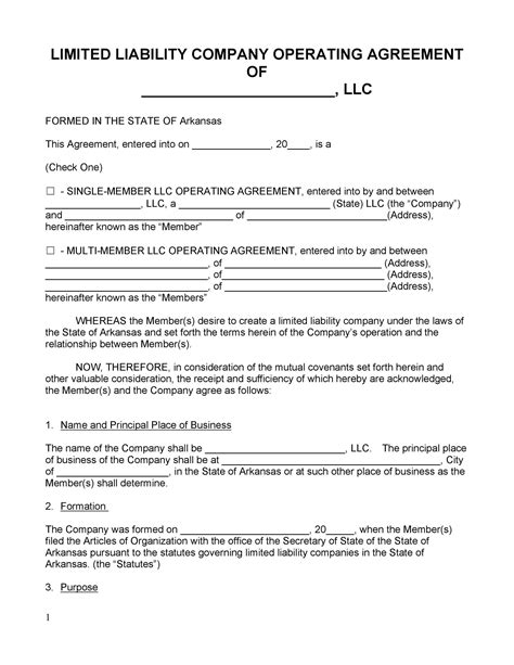 LLC Operating Agreement Template Example