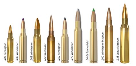 Long range rifle calibers