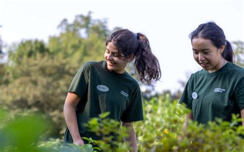 Longwood Gardens volunteer