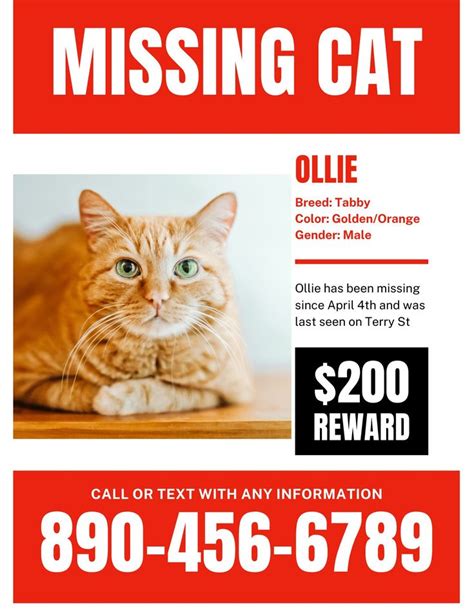 Lost Cat Flyer Template 10