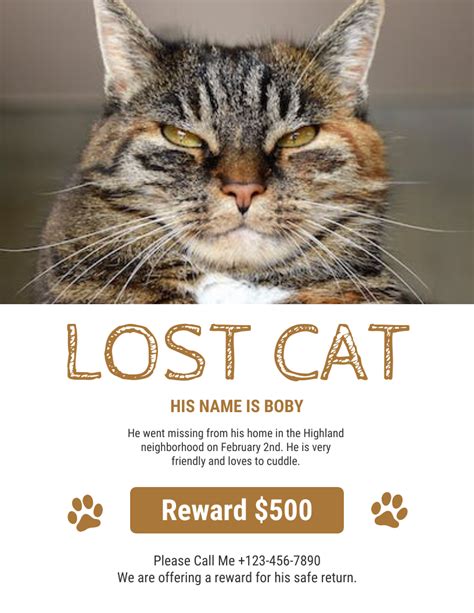 Lost Cat Flyer Template