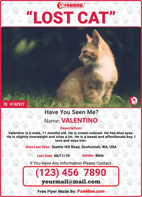 Lost Cat Flyer Template Example 5