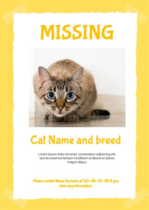 Lost Cat Flyer Template Word Document