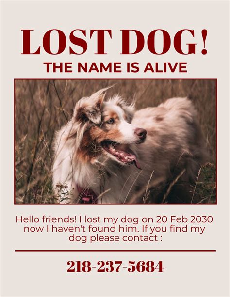 Lost Dog Flyer Example 10