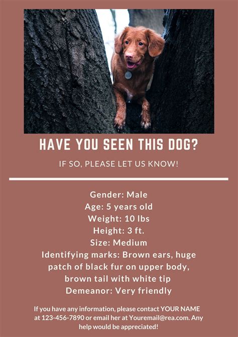 Lost Dog Flyer Example 3