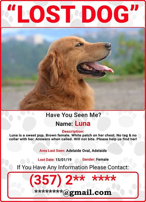 Importance of Lost Dog Flyers