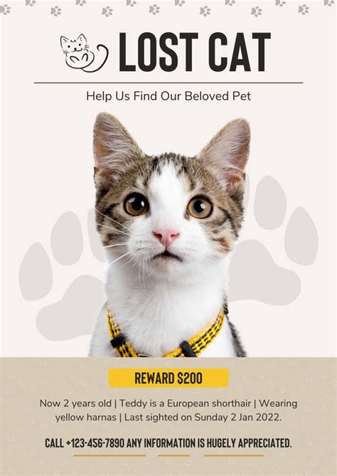 Lost Pet Flyer Template Word