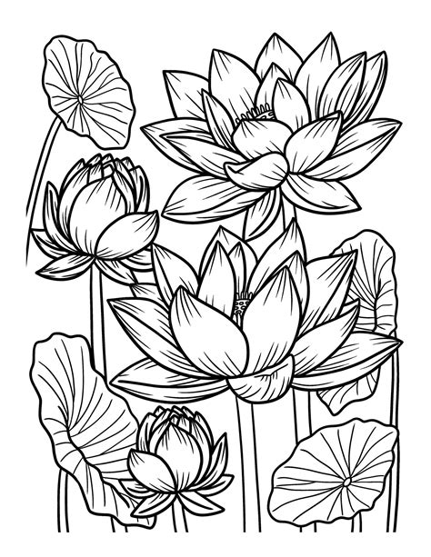 Lotus Flower Coloring Book