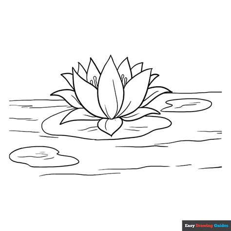 Lotus Flower Coloring Page