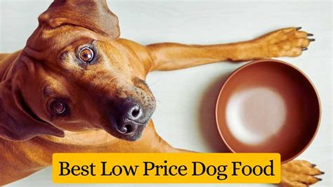 Low-cost pet food options