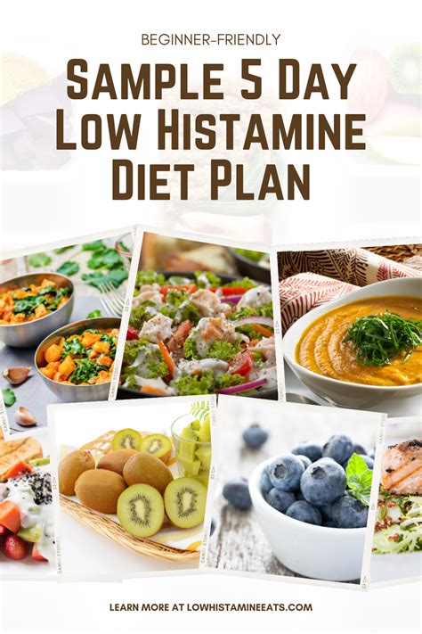 Low histamine diet plan