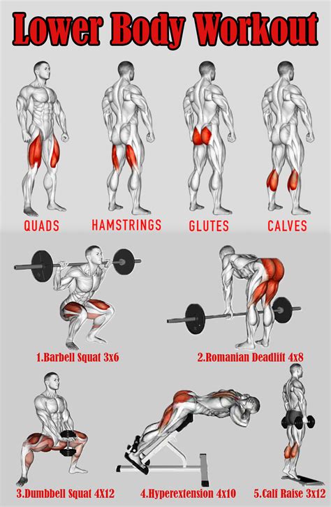 Lower Body Workout Routine