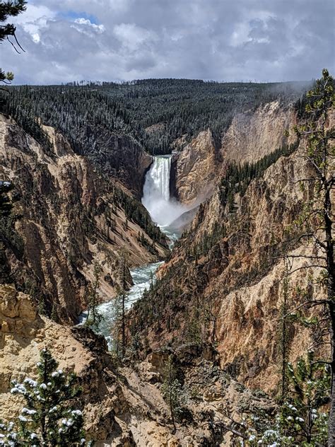 Lower Yellowstone Falls