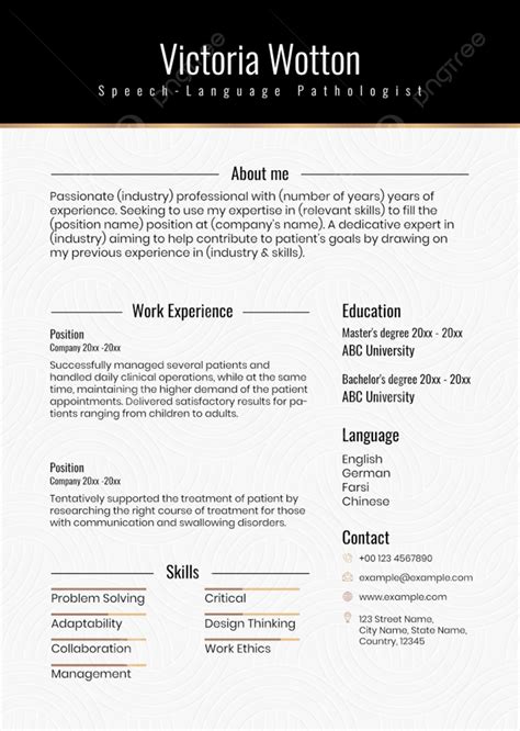 Luxury Black and Gold Resume Template