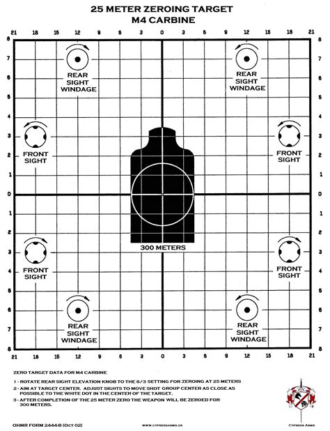 M4 Rifle Target Shooting 8