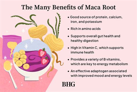 Maca Root Final Thoughts