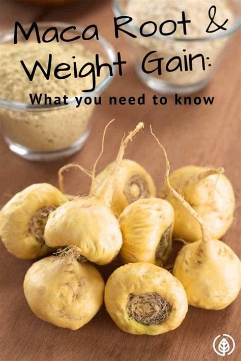 Maca Root Weight Gain Image 1