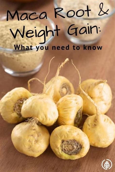 Maca Root Weight Gain Diet