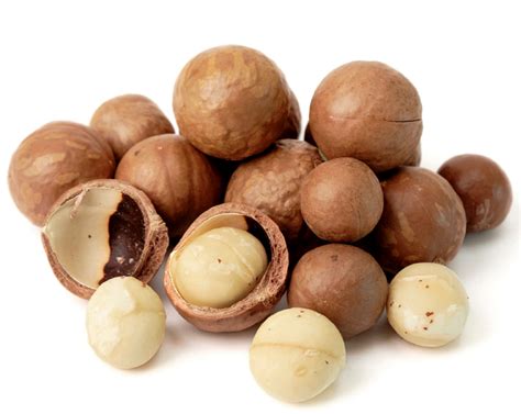 macadamia nuts toxic to dogs