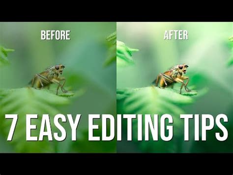 Macro editing image 9