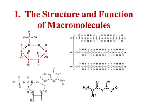 Macromolecule diagram