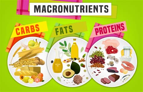 Macronutrient food pyramid