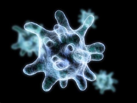 Macrophage cell diagram