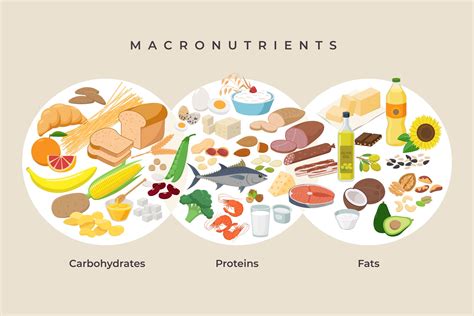 Macros increasing productivity