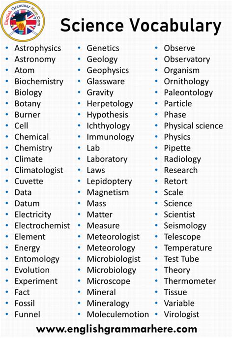 Mad Minute science vocabulary examples