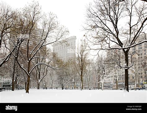 Madison Square Park in Winter