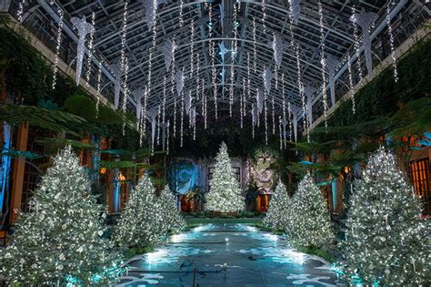 Magical Holiday Experience in Charlotte, NC