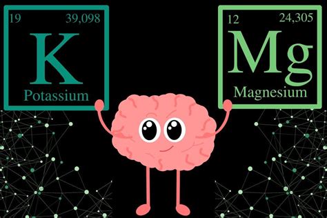 Magnesium and Cognitive Function