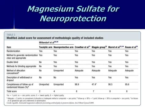 Magnesium and Neuroprotection