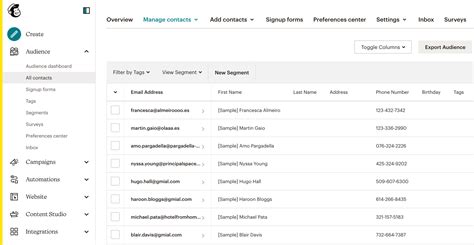 Mailchimp Import CSV Template Large Lists