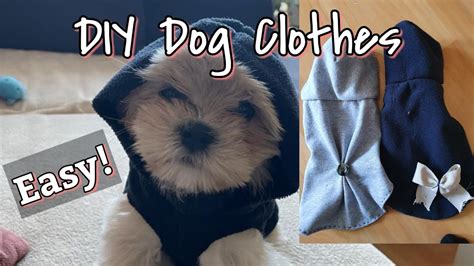 Benefits of Making Your Own Dog Clothes