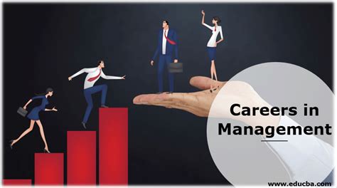 Management Career